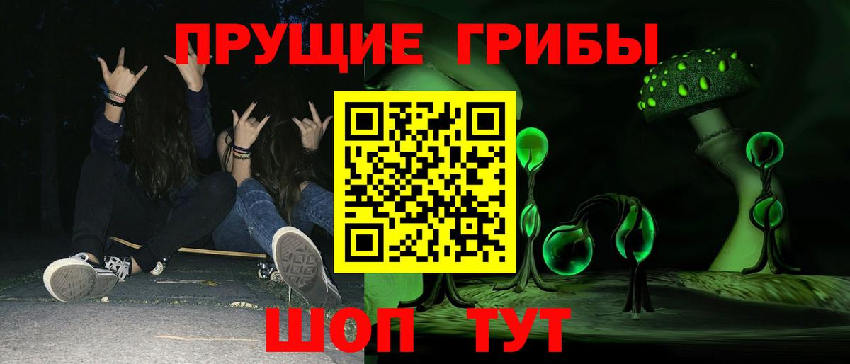 Псилоцибиновые грибы Psilocybine cubensis  продажа наркотиков  Заинск  Вход с VPN 